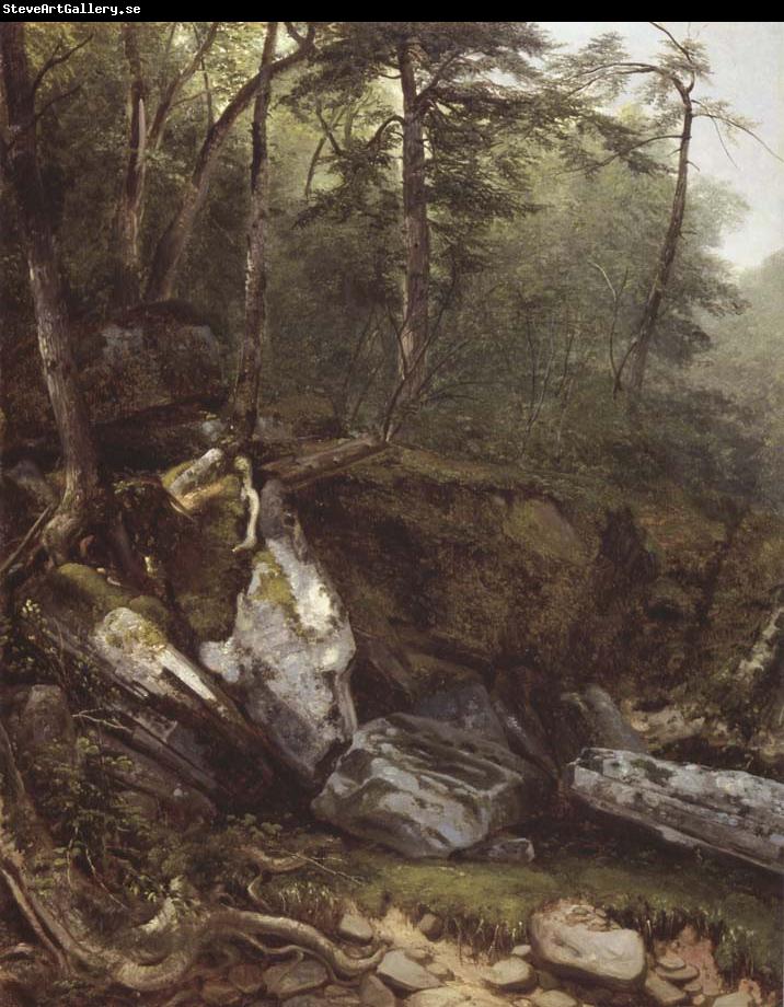 Asher Brown Durand Study from Nature rocks and trees in the Catskills